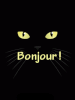 LangueChatBonjour.gif