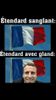 étendard.jpg