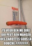 carotte.jpg