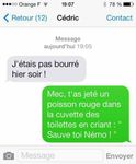 némo.jpg