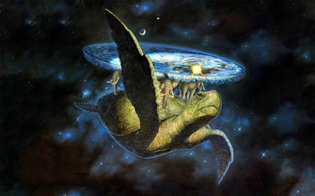 tortue