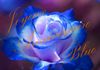 Blue18.jpg