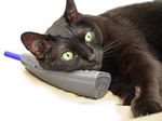 chat