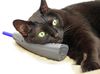 chat
