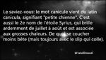 canicule.jpg