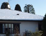 Cucù sul tetto neve.jpg