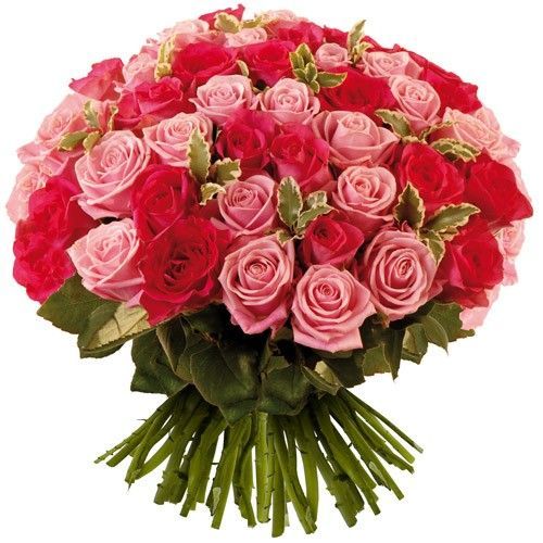 fleurs.jpg