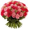 fleurs.jpg