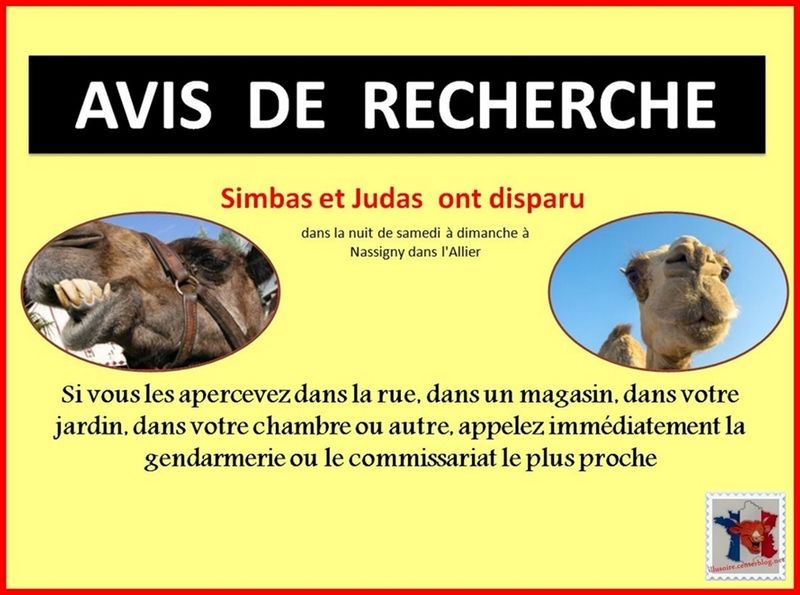 avis-de-recherche.jpg