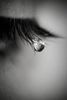 ob_a31cb0_larmes -.jpg