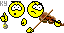 violon.gif