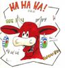 vache1.jpg
