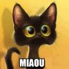 MIAOU.jpg