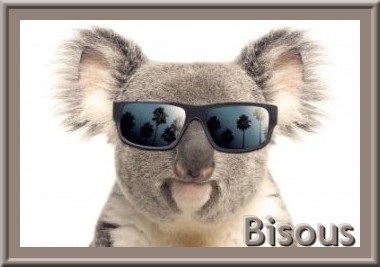 KOALA BISOUS.jpg