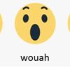 wouah.jpg