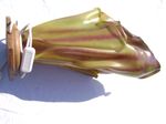 DSC07036.JPG