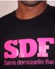 SDF.jpg