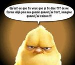 df863a24240406f1117951c1987e39c8--juste-fun-stuff.jpg