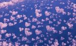 coeur-nuage-2642_w228h140c1.jpg