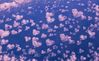 coeur-nuage-2642_w228h140c1.jpg