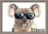 KOALA BISOUS.jpg