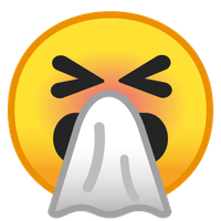 smiley enrhumé.png