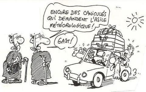 canicule 7.jpg