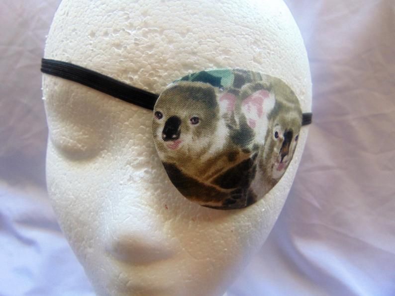 koala cache oeil.jpg