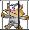 chat prison.jpg