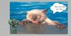 chat-et-leau.jpg