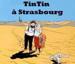 tintin.jpg