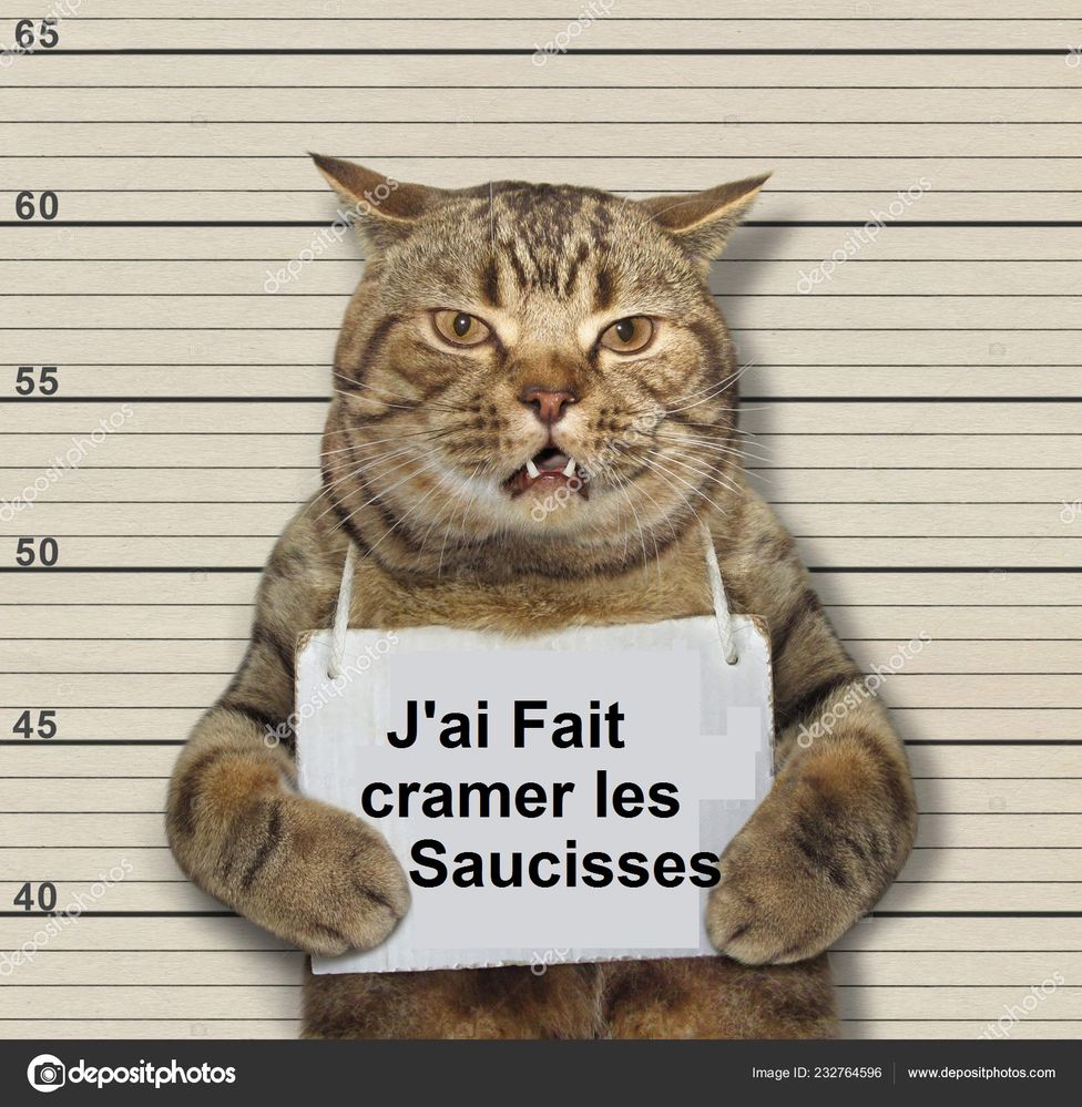 chat prison.jpg