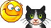 chat.gif