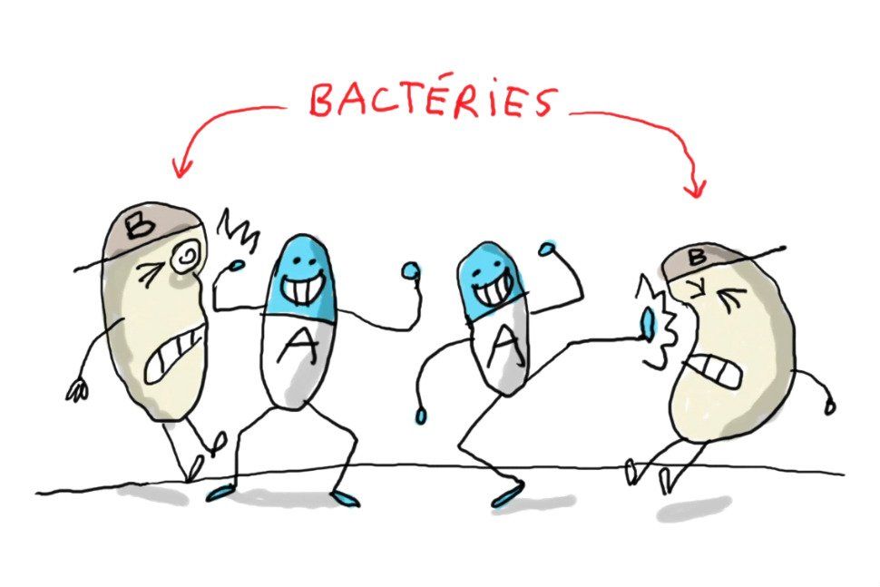 antibiotiques.jpg