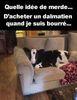 bourre.jpg