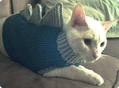 chat manteau 2.jpg