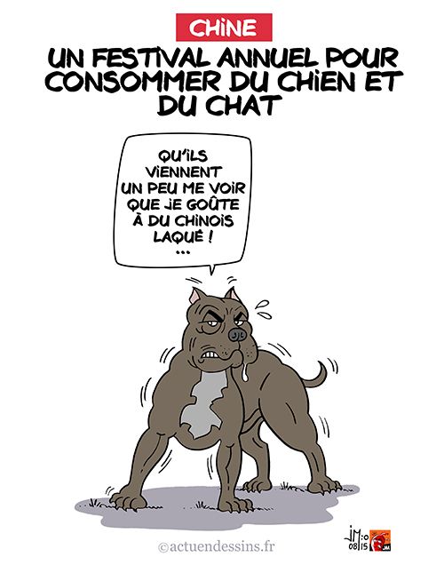 CHAT CHINE.jpg
