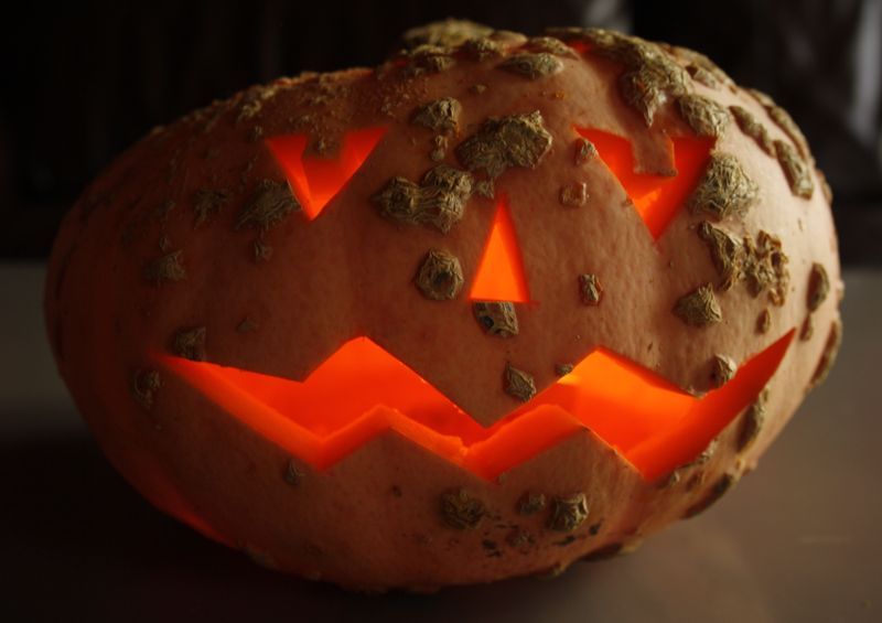 courge galeuse.jpg