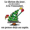 dicton-jour-toussaint-sapin-noel.jpg