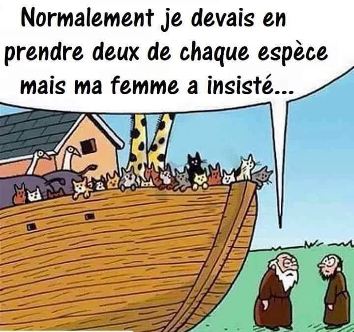 noe.jpg