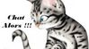 chat alors.jpg
