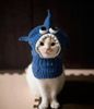 chat bonnet.jpg