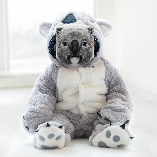 manteau koala.jpg