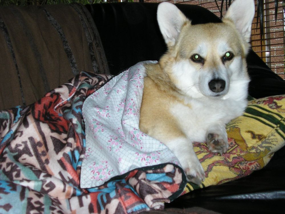momo 3.JPG