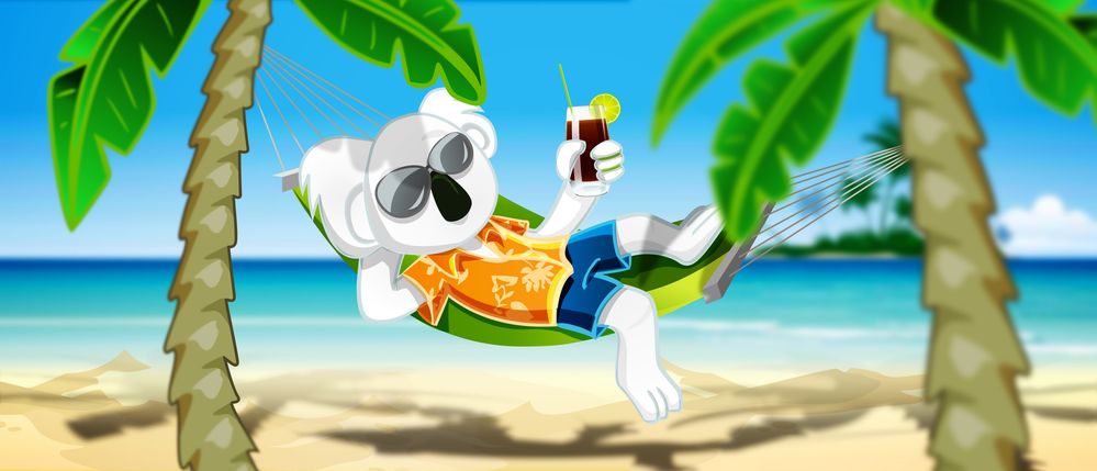 koala vacances.jpg