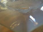 DSCN8588.JPG