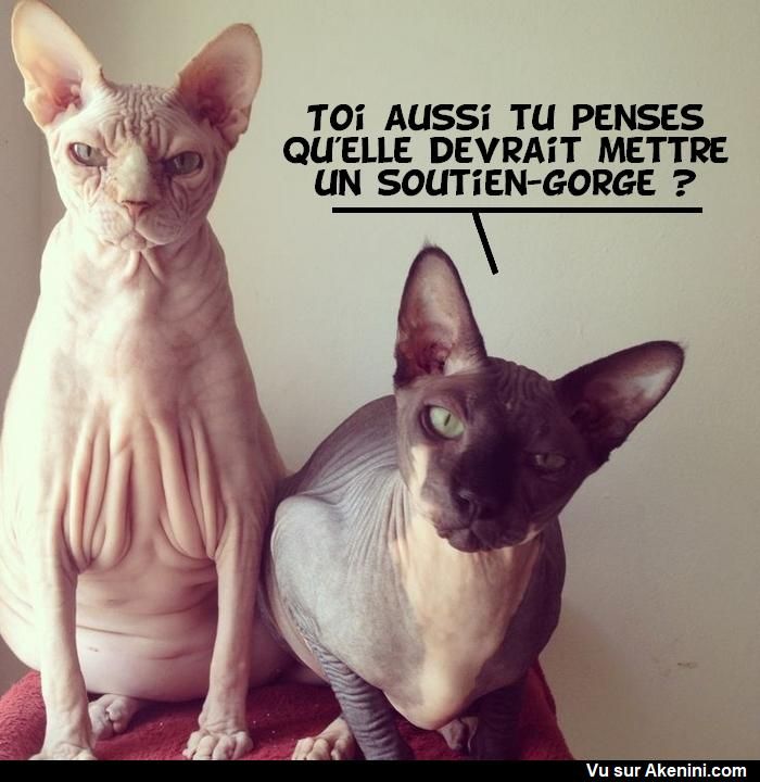 soutif.jpg