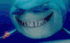 shark.gif