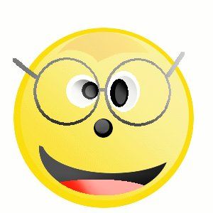 smiley lunettes 2.jpg