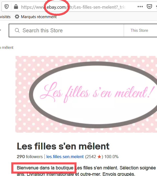 Les filles s'en mêlent - ebay.com.png